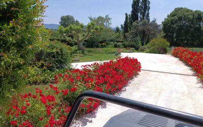 Création d’une allée de jardin en clapicette : exemple à Aleyrac